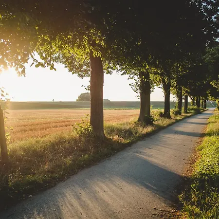 Hotel&restaurant Zum Vater Rhein Hotel Monheim am Rhein