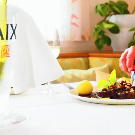 Hotel & Restaurant Zum Vater Rhein Otel