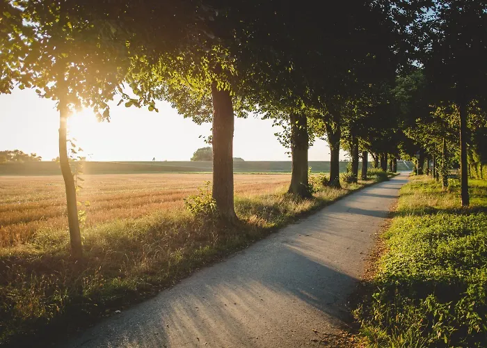 曾法特莱茵餐厅酒店 酒店 Monheim am Rhein