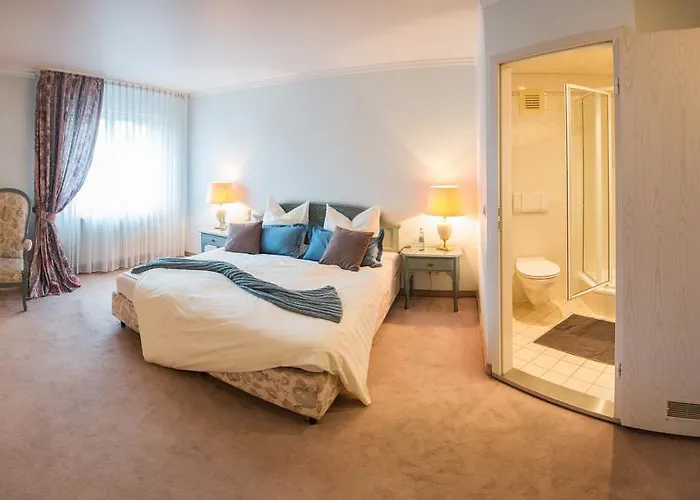 Hotel & Restaurant Zum Vater Rhein Otel 3*